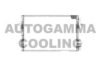 AUTOGAMMA 101841 Condenser, air conditioning